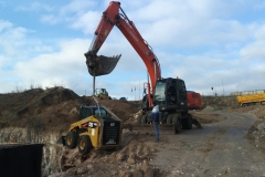 bobcat_01